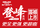 德力西电气有限公司